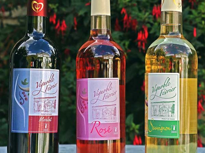 Nos vins charentais de retour